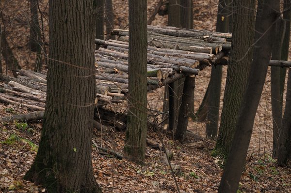 Comment créer un jeu de survie en milieu urbain post-apocalyptique où les compétences sociales sont aussi cruciales que les ressources matérielles ?