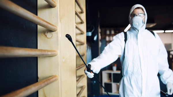 Pourquoi faire appel à une entreprise de dératisation pour protéger vos équipements ?